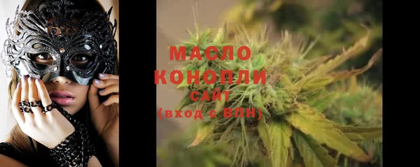 индика Пестово