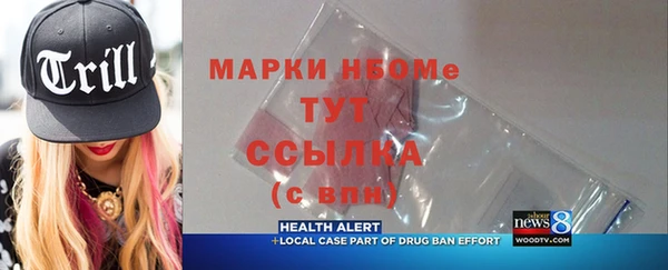 индика Пестово