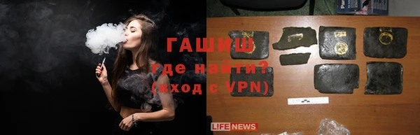 индика Пестово