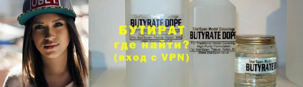 индика Пестово