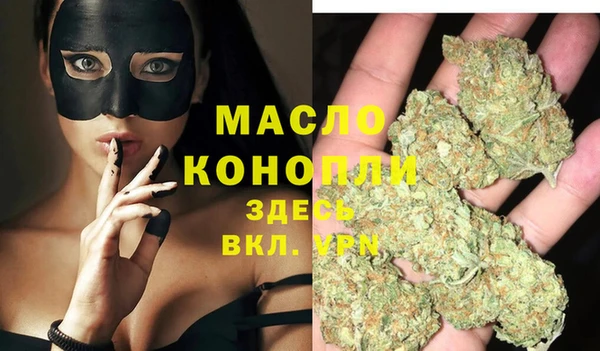 индика Пестово