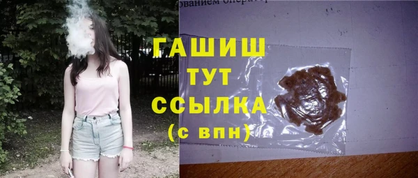 индика Пестово