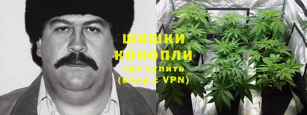 2c-b Пересвет