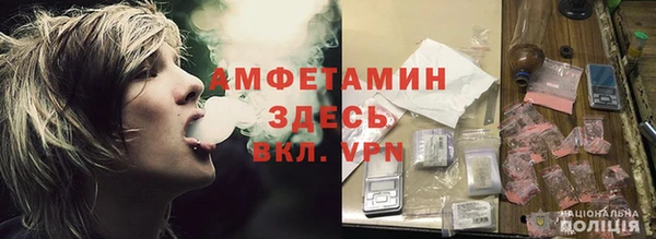 индика Пестово