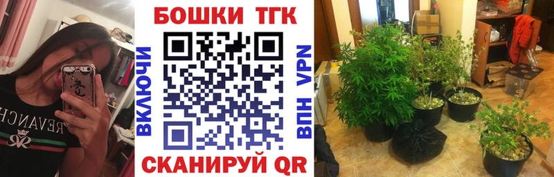 продажа наркотиков  KRAKEN рабочий сайт  Канабис Amnesia  Орехово-Зуево 